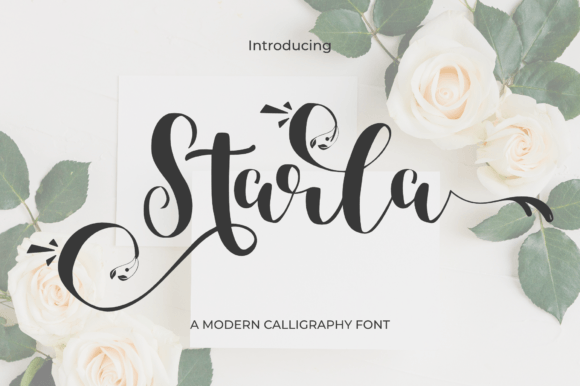 Discovering Starla: Your Next Favorite Script Font