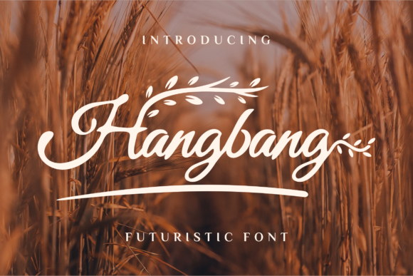 Hangbang: The Delicate Script Font with Vintage Confidence