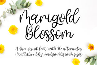 Marigold Blossom: The Romantic Script for Stunning Designs